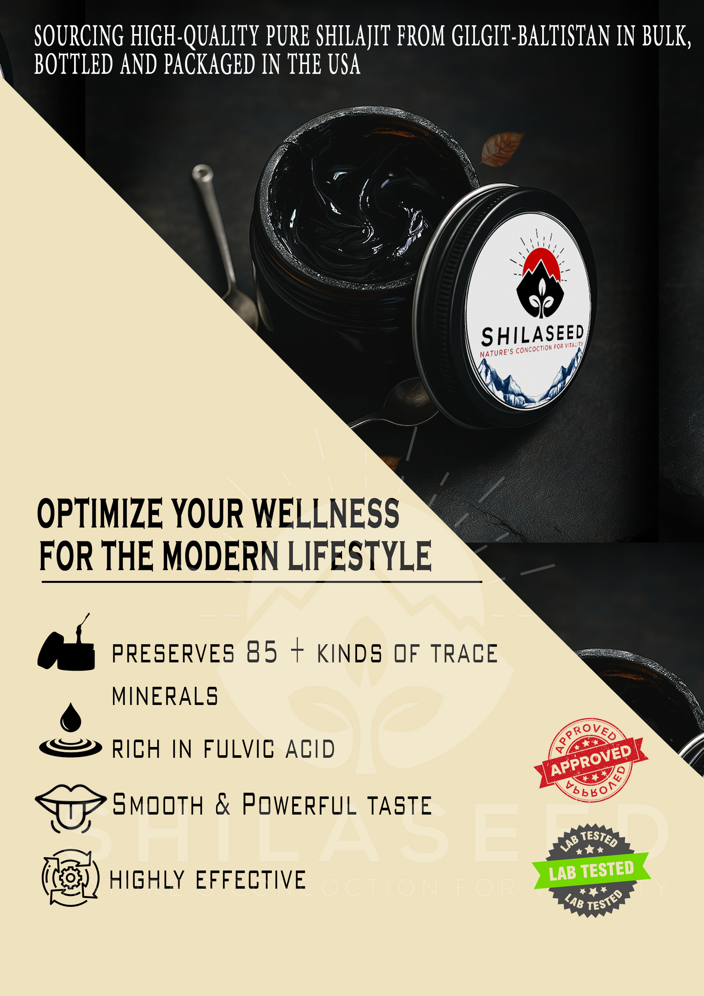 Premium Pure Shilajit with Fulvic Acid & 85 Minerals /to Boost Energy, Stamina, and Immune